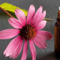 Giving Echinacea Gummies to Kids: A Guide for Parents