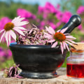 How much echinacea for immune support?