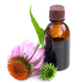 Natural Alternatives to Taking Echinacea Gummies: Boost Your Immune System the Natural Way