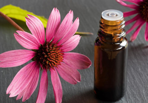 The Benefits of Echinacea: How Does it Help the Body? - An Expert's Perspective