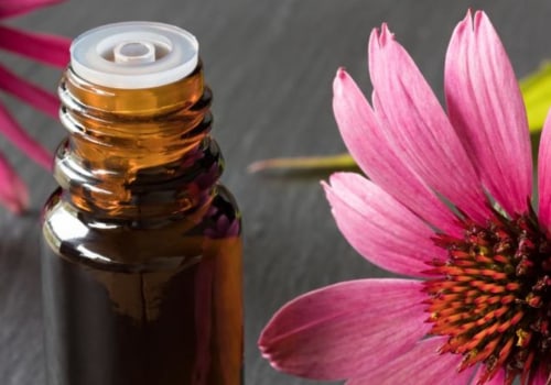 Does Echinacea Interact with Anything? An Expert's Guide
